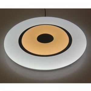 Lampada da soffitto CX369