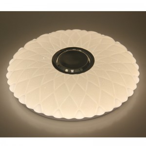 MU101 Luce di soffitto