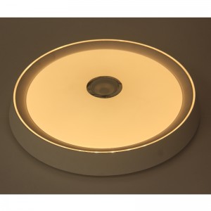 MU108 Luce di soffitto